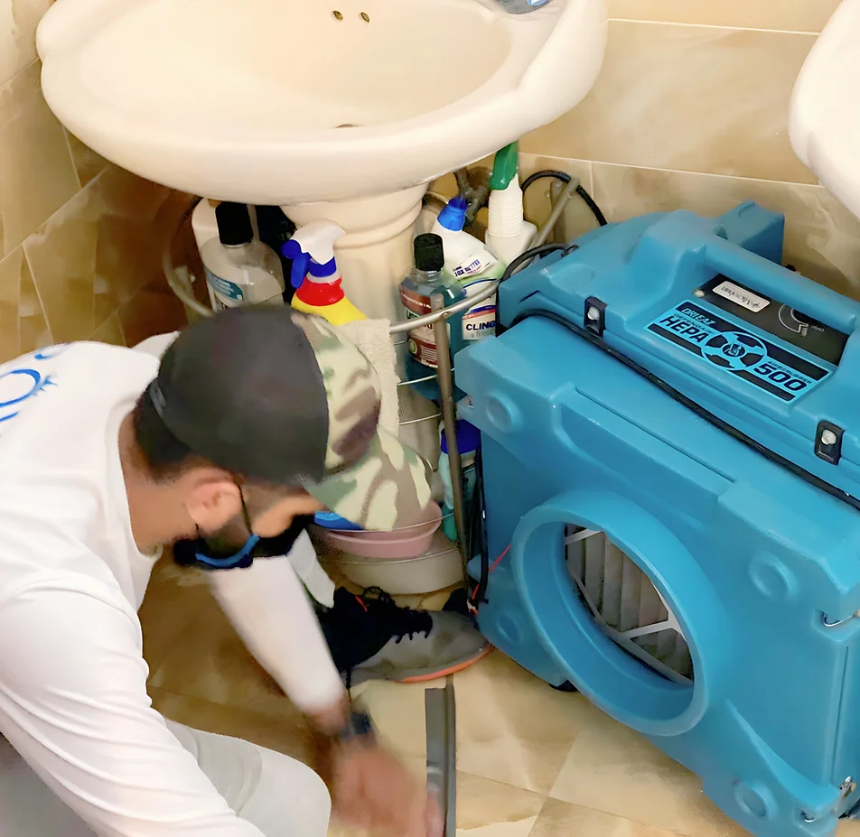 Royal Damage Restoration & Mold Remediation. Local, Honest, Affordable HVAC Services reputable Restoration Services