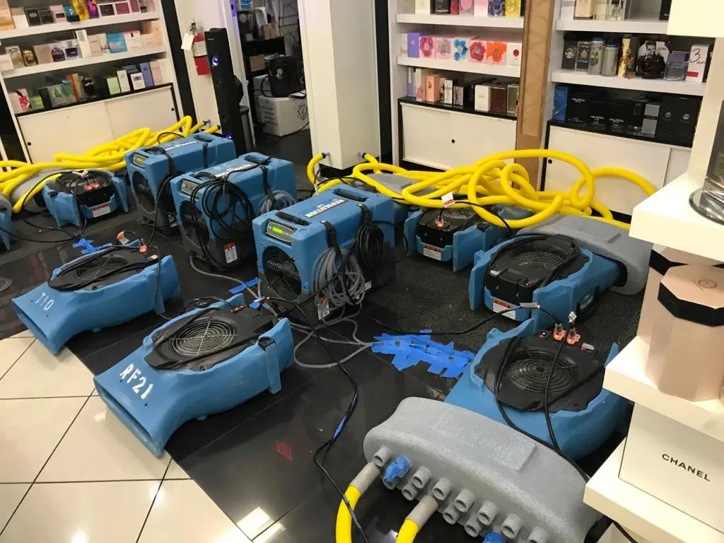 Royal Damage Restoration & Mold Remediation. #1 Rated in Broward, Palm Beach & Lee Counties | Highest Standard Of Quality Restoration Services experts